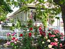 IMG_0505.JPG: Petaluma: House with roses - Hus med roser