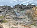 IMG_0554.JPG: Mendocino: Coast - Kyst